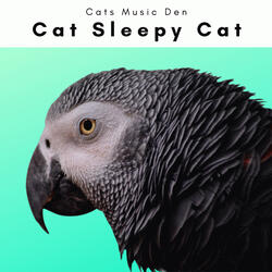 Soothing Kitty Noises for Instant Kitty Sleep