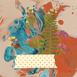 Stellar Son Montuno Trumpet - Vibe for Peaceful Melodies