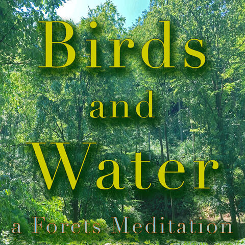 Birds and Water, a Forest Meditation