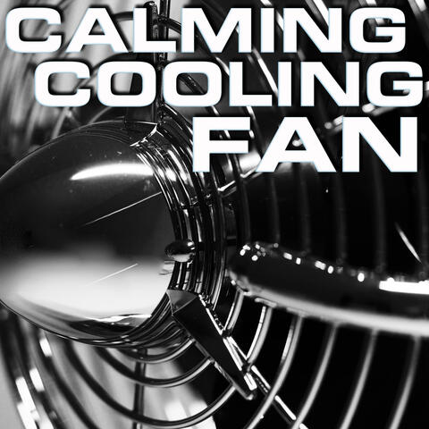 Calming Cooling Fan