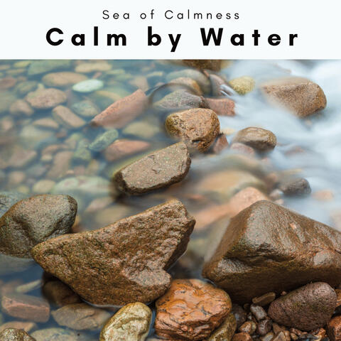 1 Calm by Water