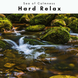 Master of HardChill Sleep Vibe
