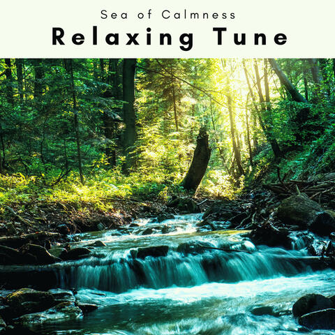 A Relaxing Tune