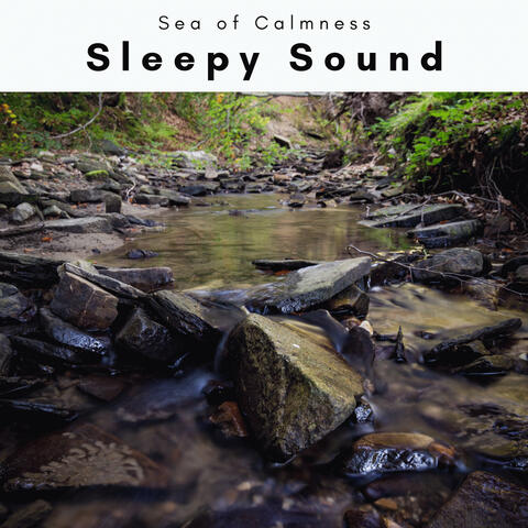 A Sleepy Sound