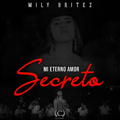 Mi eterno amor secreto