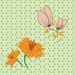 Spacious Calming Environments