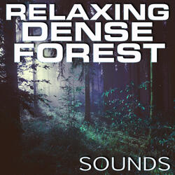 Nature Sounds of Dense Forest & Wolves