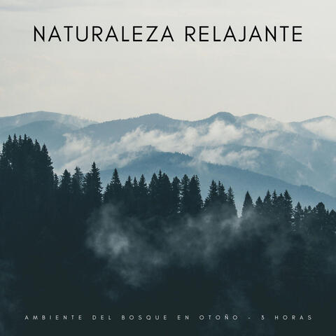 Naturaleza Relajante: Ambiente Del Bosque En Otoño - 3 Horas