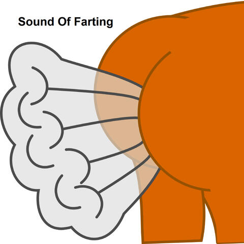 Sound Of Farting
