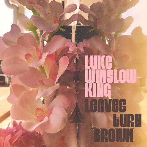 Leaves Turn Brown