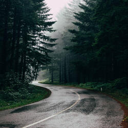 Deep Sleep Rain