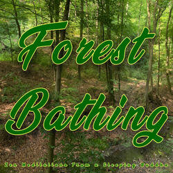 Forest Bath