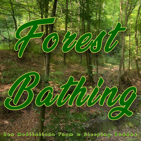 Forest Bathing