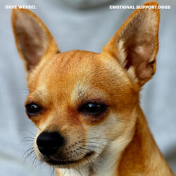 Emotional Support Dogs
