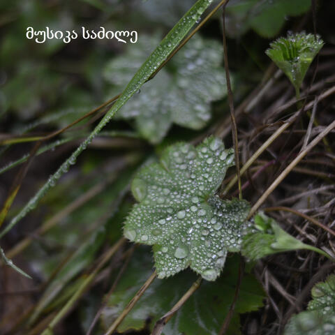 მუსიკა საძილე