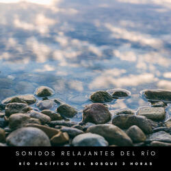 Sonidos Relajantes Del Río: Río Pacífico Del Bosque - 3 Horas