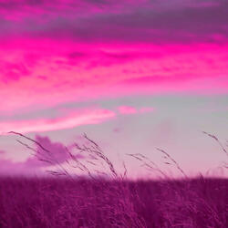 Smooth Jazz Guitar Soundtrack for Rain Time