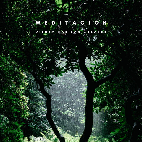 Meditación: Viento Por Los Árboles