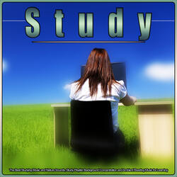 Calm Music For Reading