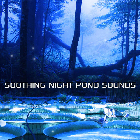 Soothing Night Pond Sounds