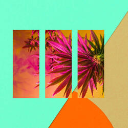 Relaxed Reading Mode