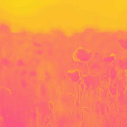 Background for Virtual Style