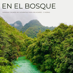 En El Bosque: Sonidos Calmos De Cataratas Para Relajarse - 2 Horas