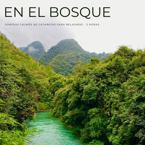 En El Bosque: Sonidos Calmos De Cataratas Para Relajarse - 2 Horas