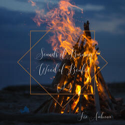Fire Ambience: Sounds of Burning Wood of Bonfire Vol. 2 - 3 Hours