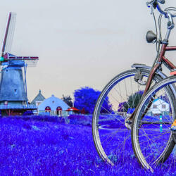 Vivacious Chill Hop Jazz - Vibe for Calm Classics