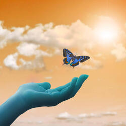 Wonderful Music for Thoughtful Time