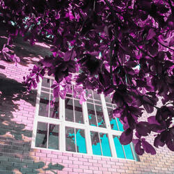 Successful Moods for Literary Daydreams