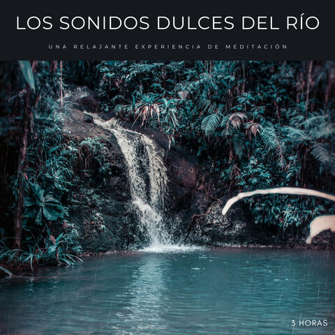 Los Sonidos Dulces Del Río: Una Relajante Experiencia De Meditación - 3 Horas