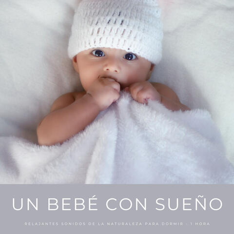Un Bebé Con Sueño: Relajantes Sonidos De La Naturaleza Para Dormir - 1 Hora
