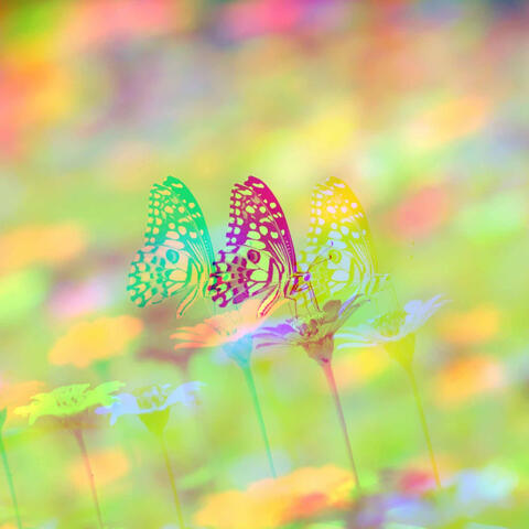 Dream-Like Music for Private Monday - Jazz-hop