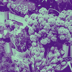 Luxurious Chill Hop Jazz - Vibe for All-Nighters