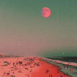 Enjoy Your Life