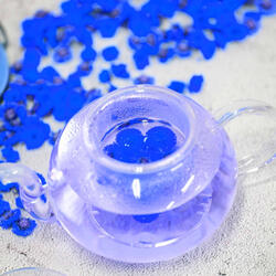 Cultivated Echelon Memories