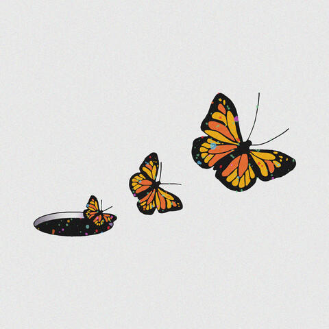 I'll Fly