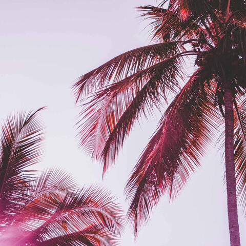 Music for Chill Out Time