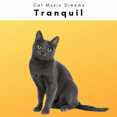 4 Cat: Tranquil