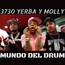 3730 Yerba Y Molly