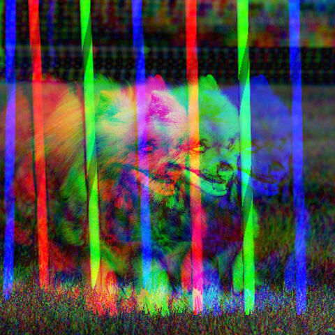 Retro Background for Cozy Doggos
