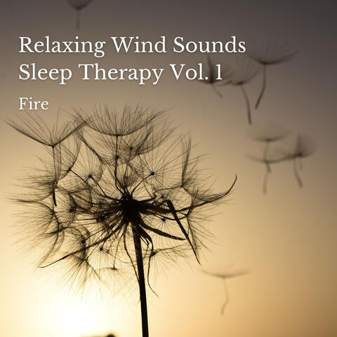 Fire: Relaxing Wind Sounds Sleep Therapy Vol. 1 - 1 Hour