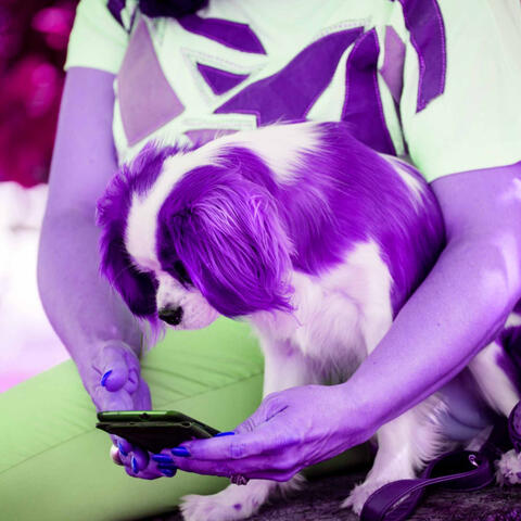 Music for Doggy Sweater Weather - Piano Bossa Nova Duo