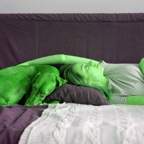 Astonishing Backdrop for Saturday Pups