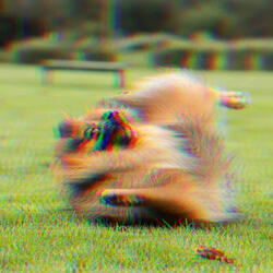 Background for Autumn and Puppies