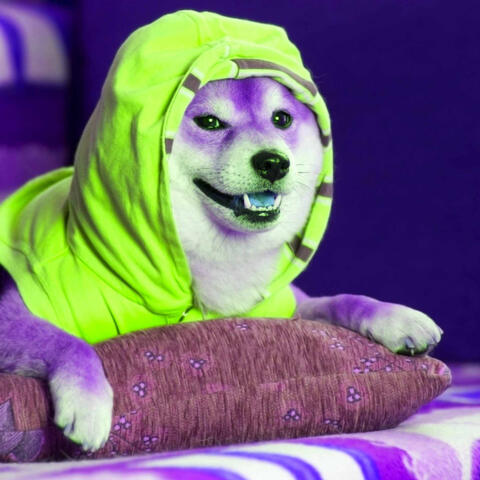 Bgm for Saturday Pups
