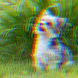Sumptuous Moods for Autumn and Puppies