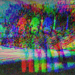 Suave Bossa Piano Duo - Vibe for Cozy Doggos